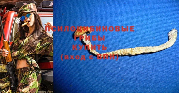 первитин Арсеньев