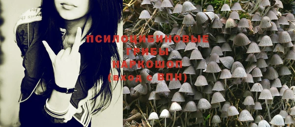 ПСИЛОЦИБИНОВЫЕ ГРИБЫ Аркадак