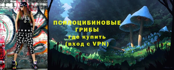 первитин Арсеньев