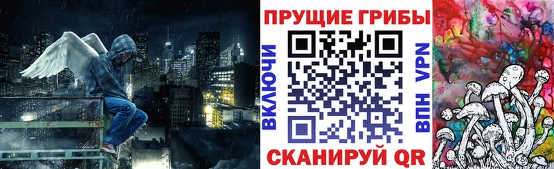 Псилоцибиновые грибы Cubensis  Ленинск 