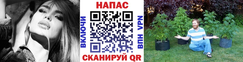 Канабис LSD WEED  даркнет сайт  Ленинск 